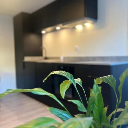 Cozy & Modern In Apartman *